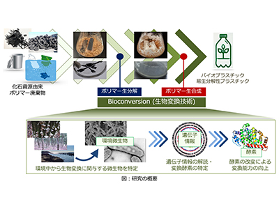 環境微生物の力で未来を拓く　ポリマー廃棄物の生物変換技術最前線