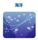 海洋
